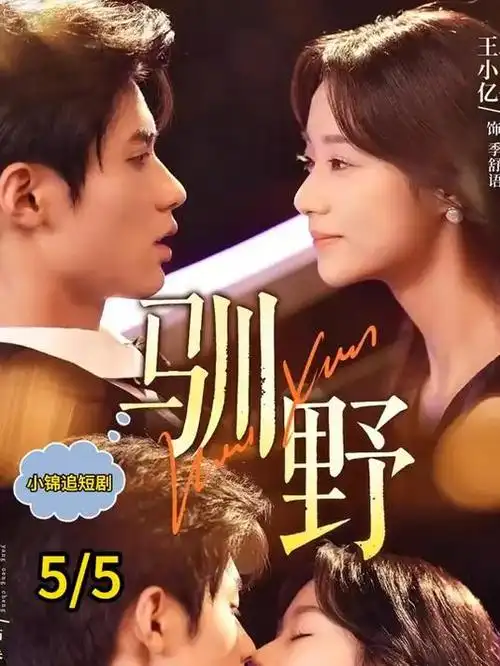 旧唱片行 高分文艺片全集免费观看